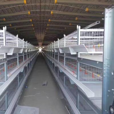 China chicken cage broiler broiler chicks day chicken transport cage for sale