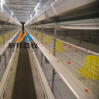 China meat broiler chicken cages for sale cage for broiler hen layer cage for sale