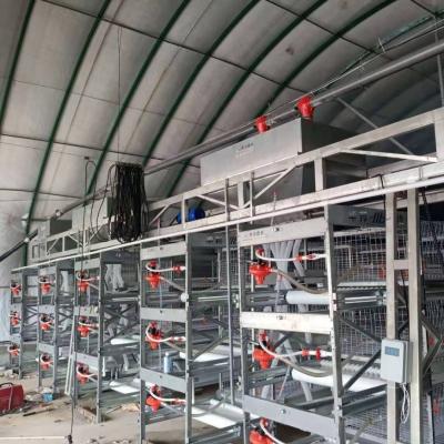 China live broiler chickens broiler equipment livestock transport cages for sale