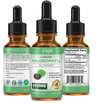 China immune & Anti-fatigue OEM Liquid Chlorophyll Drops For Water - Liquid Chlorophyll Mint for sale