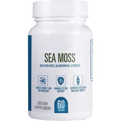 China immune & Organic Anti-Fatigue Private Label Burdock Root and Sea Moss Capsules Pills Irish Seamoss Bladderwrack Capsules for sale