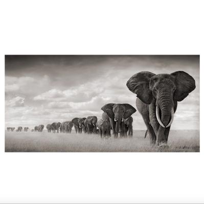 China Modern Size 24x48inch Resolution Elephant Print Oil Painting Canvas Wild Animal Art For Bedroom for sale