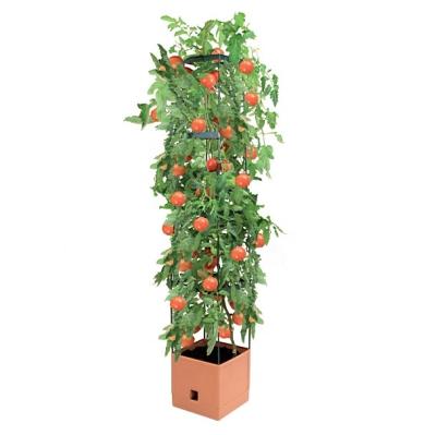 China GP0116 Feature China Manufacturer Flat Packing Tomato Self-Watering Tower for sale