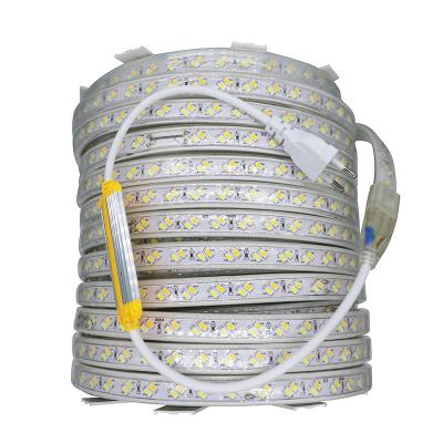 China Other 120leds/m Warm White Color 220V 5730 Dimmable LED Strip Light Dual White Flexible Strip Light for sale