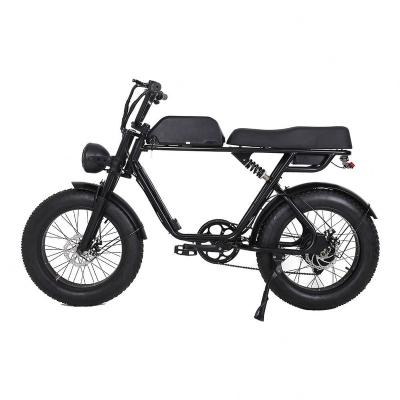 China Amazone Motor Fat Bike 750W 1000W Fat Tire 20Inch Steel Fat Tire Mountain Bike Fatbike Fatbike Electric Bike for sale