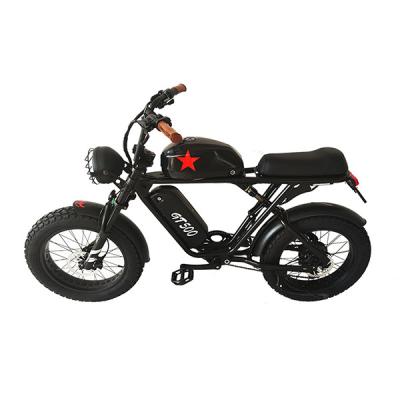 China Aluminum Alloy Power 1000w Fat Tire Electric Mountain Bike for sale