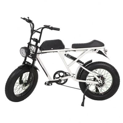 China Cheap Dropshipping 250W Steel Electric Bike for sale