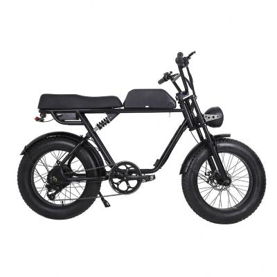 China Success Electric Motor Steel Bike for sale