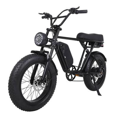 China Steel Best Selling 750 Watt Adult Electric Bike for sale