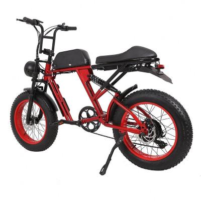 China Fat tire steel high quality electric bike for sale