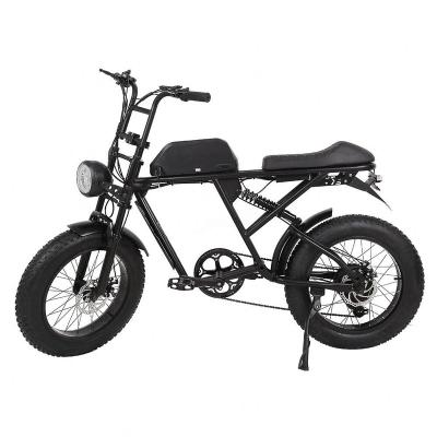 China Support Steel Chinese Vintage OEM Electric Bike for sale