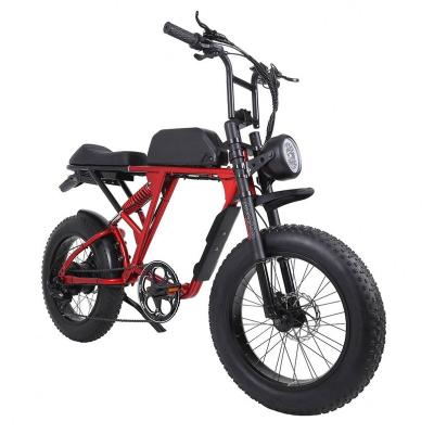 China Best Quality Steel Bike Electric Walking Bike for sale