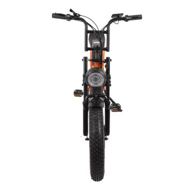 China Bici Elettrica Steel Pedal Electric Bike China Factory 2 Person for sale