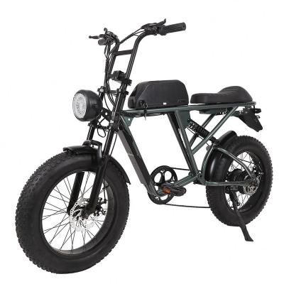 China Cheap Factory Price En15194 48V 1000W Steel Electric Bike for sale