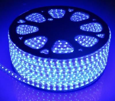 China SMD 3535 60LED/M 110V 12W/M Blue LED strip light for sale