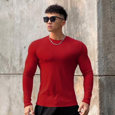 China Anti-wrinkle Men's Slim Long Sleeve Shirt Fitness Compression T-shirt Sports Gym Slim Sweatshirt for sale