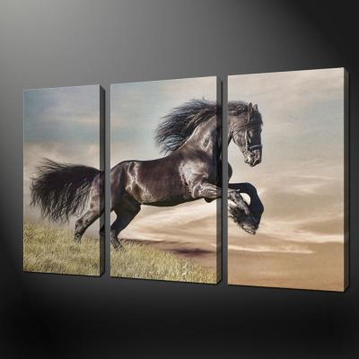 China Waterproof+ECO-Friendly Dropship Giclee Abstract Artwork Fire Horse Canvas Print Painting for Dining Room Home Hotel Cafe Wall Decoration for sale