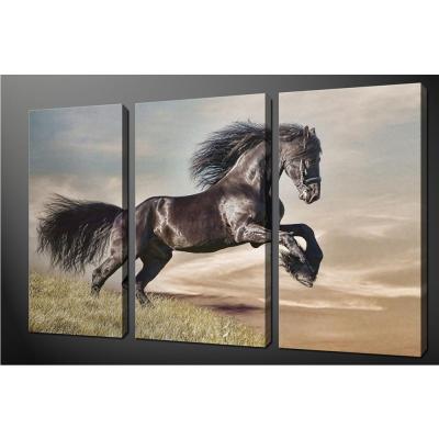 China Crazy Selling Waterproof+ECO-Friendly Fine Quality 3 Panel Canvas Framed Wall Art for sale