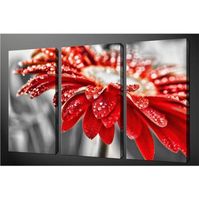 China Waterproof+ECO-Friendly 3 Panels Flower Modern High Resolution Flower Group Canvas Oil Painting Picture for sale