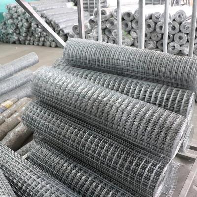 中国 Free Sample 6 Gauge Welded Wire Mesh Fence Panels Steel Iron Wire Mesh 販売のため