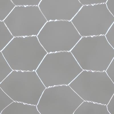 China Hexagonal Wire Netting Poultry Wire Galvanised Mesh zu verkaufen