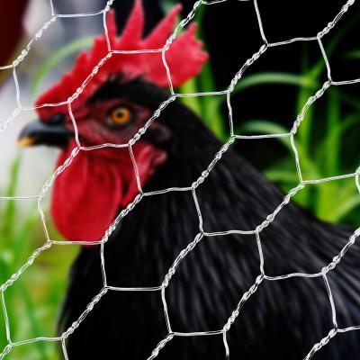 China Good Quality Netting Bird Mesh Hexagonal Wire Mesh For Chicken Wire Lowe zu verkaufen