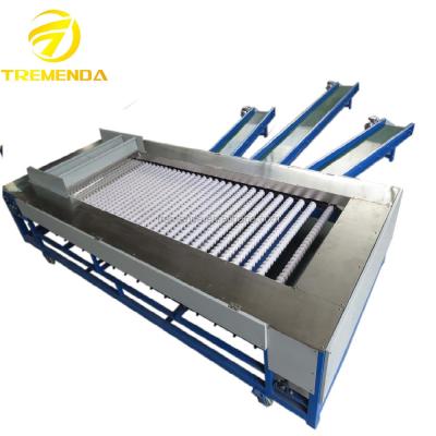 China High Efficiency CE Certified Pineapple Sorting Machine for sale