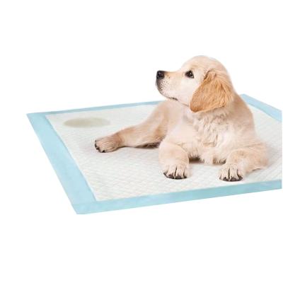 China Smells Amazon Success Free Samples Pet Accessories Disposable Pet Pads Train Pee Pads For DogHigh Quality Indoor Canvas for sale