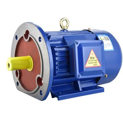 China Totally Enclosed Induction Motors South Africa for sale