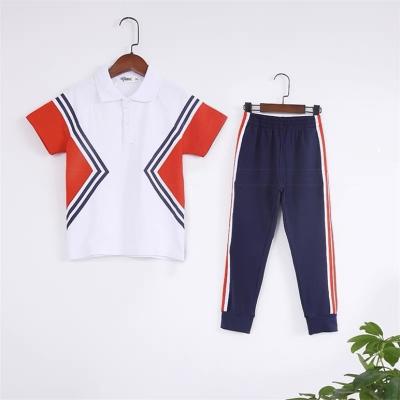 China School Custom Made Kindergarten School Uniform Boys And Girls Designs Summer School Sportswear Polo Shorts Sets Kids Uniform Sets for sale