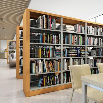 China Modern Durable Metal Bookshelf Furniture Wholesaler Factory Reading Room Double Metal Bookcase Shelving for sale