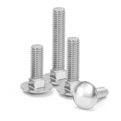 China Large Flat Head DIN603 304 Stainless Steel Large Flat Head Trolley Bolts Big Half Round Head Square Neck Shelf Screws M10M12 for sale