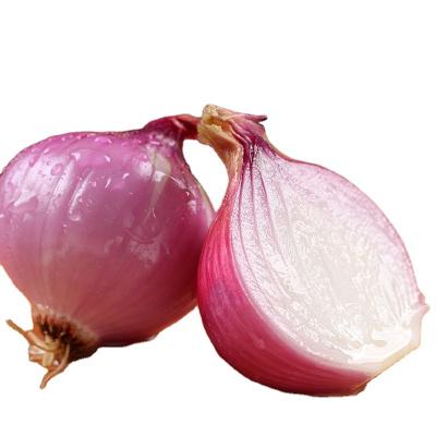 China Good Quality Fresh Selling Unpeeled Onion Peeling Organic Onion Vegetables for sale