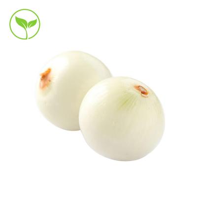 China White onion fresh and delicious natural pure chinese healthy for sale