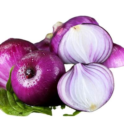 China 2022 Factory Newest China Healthy Pure Natural Red Onion Fresh Price for sale