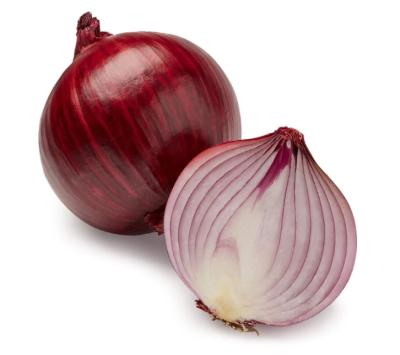 China Year supply unpeeled onion of good quality fresh round spring onions of fresh vegetables for sale