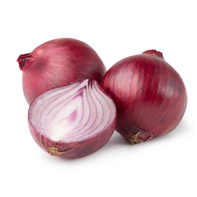 China China Wholesale High Quality Red Fresh Onion Fresh Onion Supplier for sale