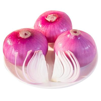 China Healthy Nutritious Fresh Best Grade Unpeeled New Natural Onion Culture Bulk Onion Premium Onion for sale