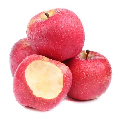 China Fuji Fresh Apple Organic Fresh Apples for sale