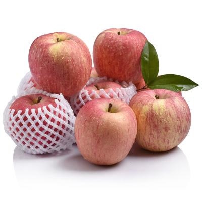 China Cheap price red apple fresh fruit apple supplier export fuji apple for sale