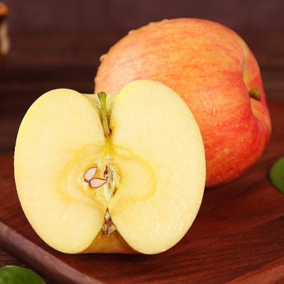 China Fuji Apple Fresh Fruit Chinese Fresh Refreshing Fresh Hot Sale New New Culture Refreshing Exporter for sale