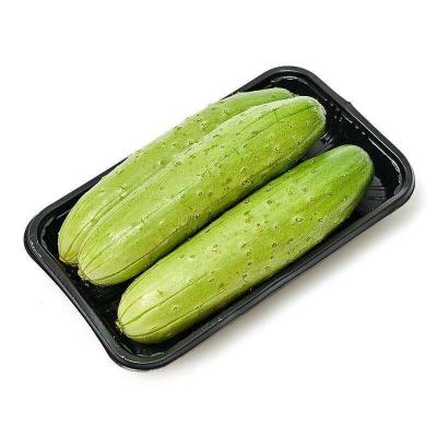 China 2022 High Quality Natural Pure Fresh Shandong Cucumber for sale