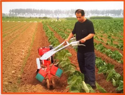 China Ditch / Land Mini Factory Supply Top Quality Lush Hot Selling Trencher for sale