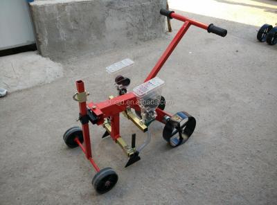 China Cheap Seed Planting Machine Precision 2 Rows Vegetable Seeder for sale