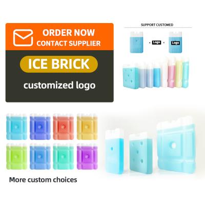 China Hot Selling Big Hard Reusable Plastic Waterproof Custom Ice Shipping Bricks For Vaccine for sale