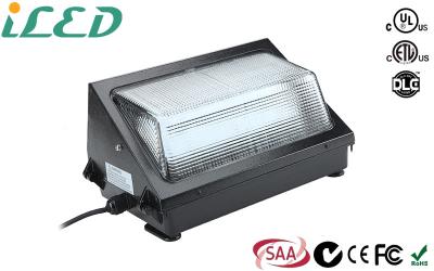 Cina La lega di alluminio IP65 100 watt ha condotto la sicurezza del pacchetto della parete che accende il CA 110-265V impermeabile in vendita