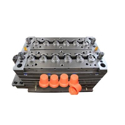 China Factory necessities daily precision injection multi cavity plastic capsule mold custom plastic injection mold making on sale for sale