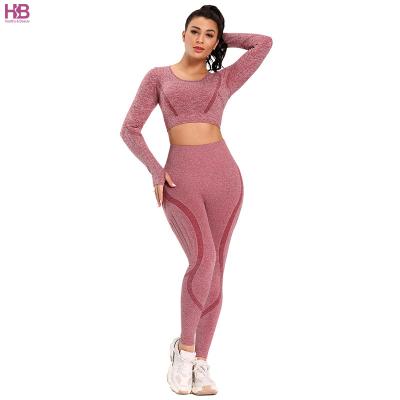 China Breathable Seamless Yoga Suit 2 Piece Sports Shirts Crop Top Gaiters Sports Set Fitness Tracksuit Workout Set For Women for sale