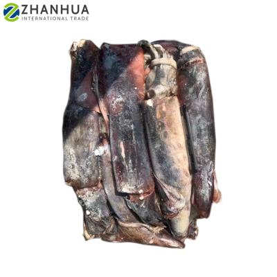 China Equator Nutritious Squid Block 1000-2000g Raw Frozen Frozen Squid for sale