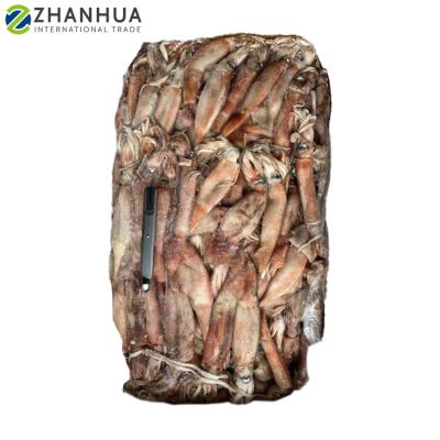 China Wholesale NATURE Loligo Ghana Squid Block 40-80g Frozen Raw for sale